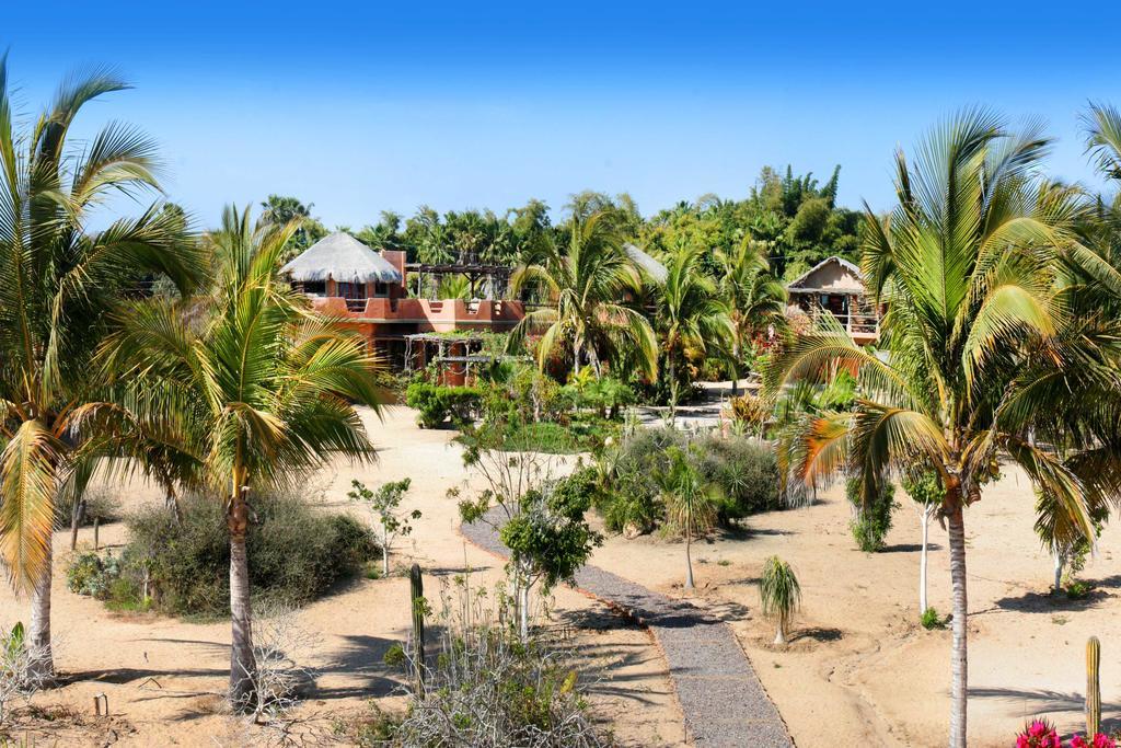 Hôtel Flora Del Mar à Todos Santos Extérieur photo
